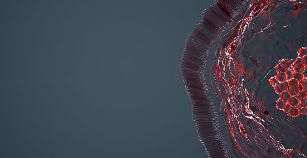 Coronavirus – Eine besondere Herausforderung