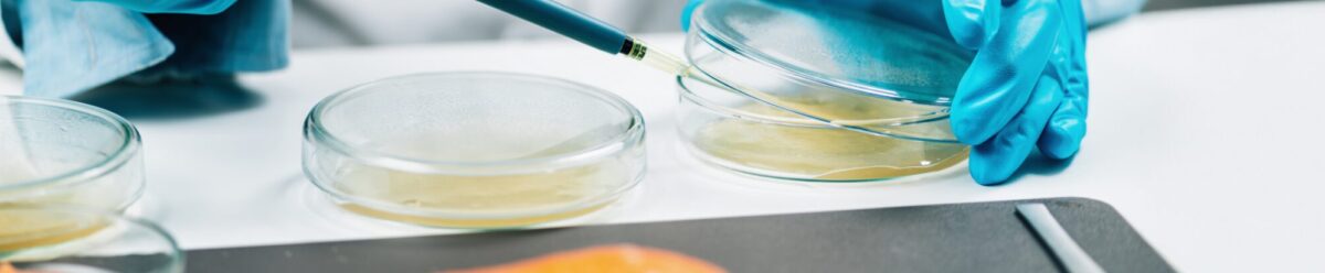 Wissenschaftler mit Pipette untersucht Proben in Petrischalen, Symbol für Qualitätskontrolle, Produktsicherheit und die Absicherung durch eine Rückrufkostenversicherung.