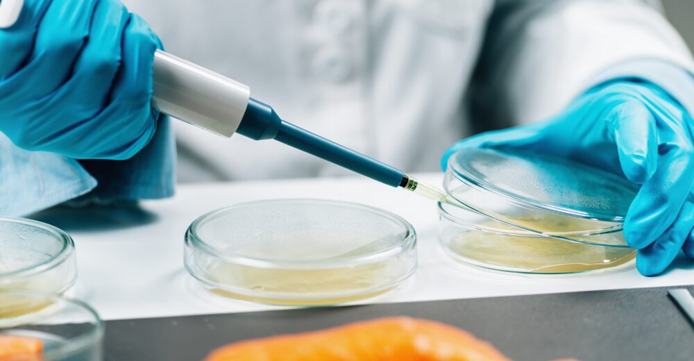 Wissenschaftler mit Pipette untersucht Proben in Petrischalen, Symbol für Qualitätskontrolle, Produktsicherheit und die Absicherung durch eine Rückrufkostenversicherung.
