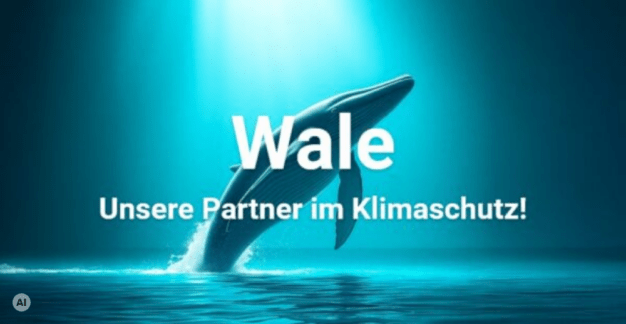 Grafik mit einem Wal im Hintergrund und dem Schriftzug „Vale – Unser Partner für Klimaschutz“